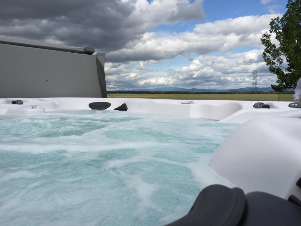 L'Atelier 4 Stars Luxury, Hot Tub, Pool Vila Nambsheim Quarto foto